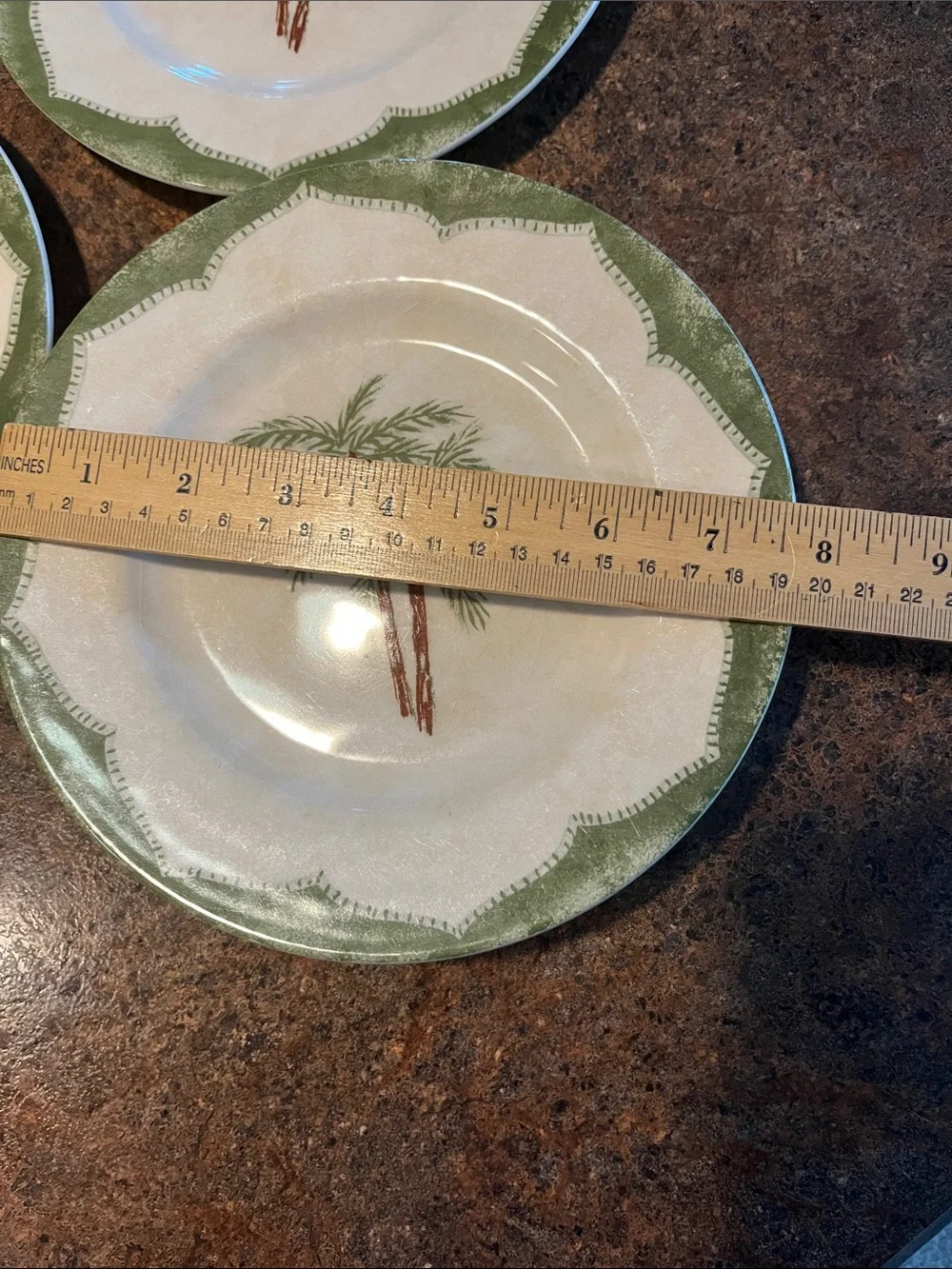 5 Pier 1 Ironstone Sabel palm tree salad plates green scallop trim 8” Brazil